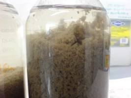 Biologisch abbaubares Flockungsmittel